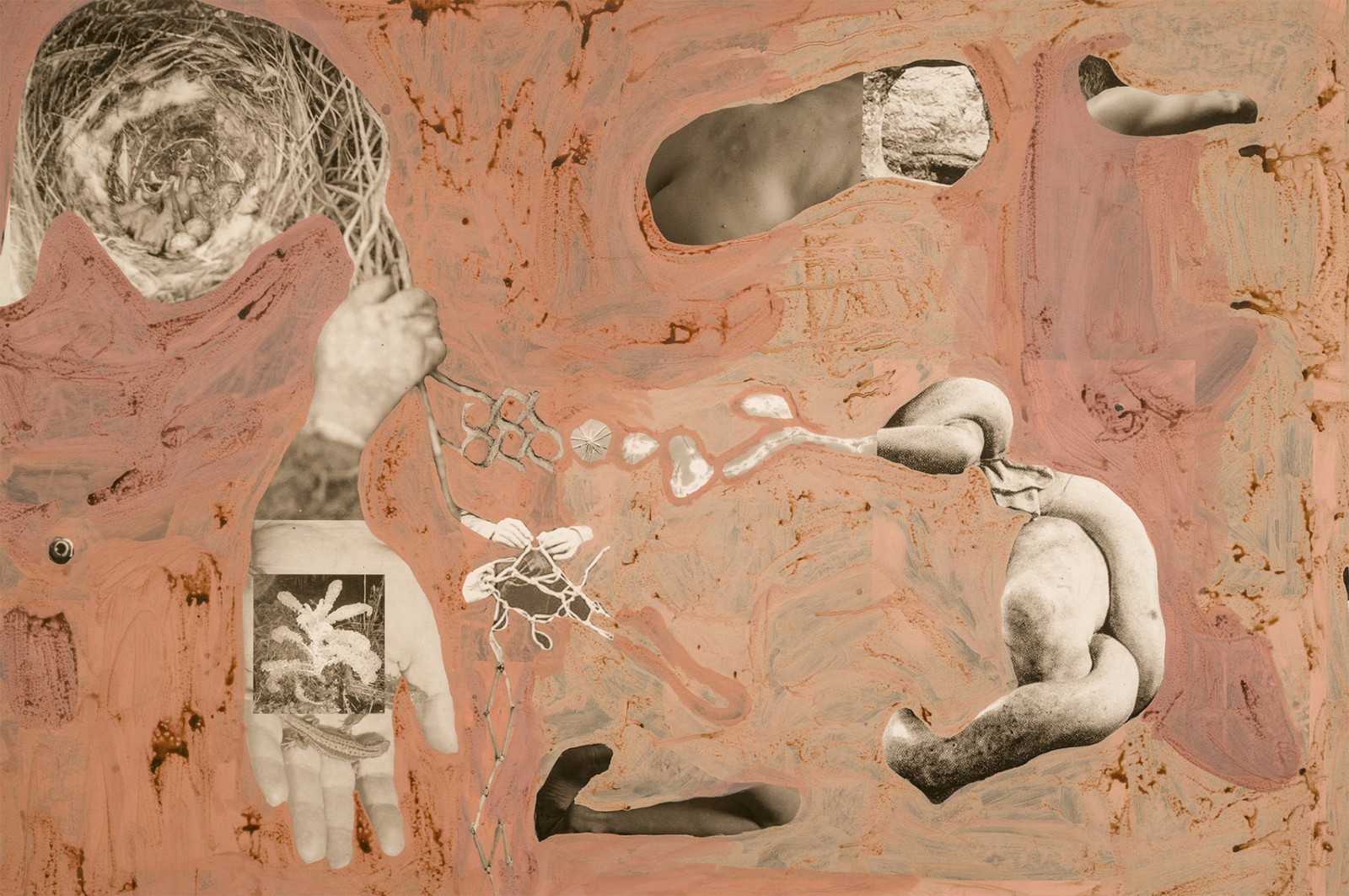 圖十二、《地勢 (關于時間，關于身體)》 (細節(jié)圖)，O?zlem Alt?n，2019